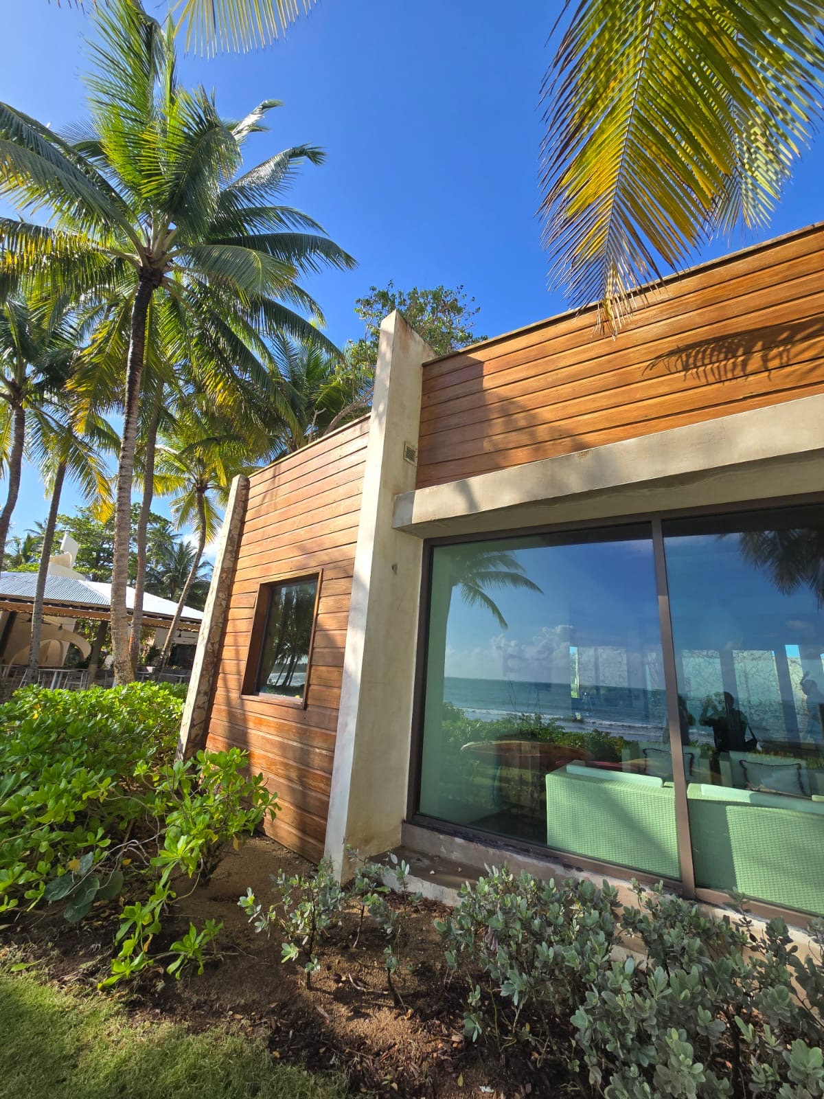 997ba6d6-a6c4-4409-8da1-6baeca5e781e